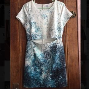 Fitted dress with cut out